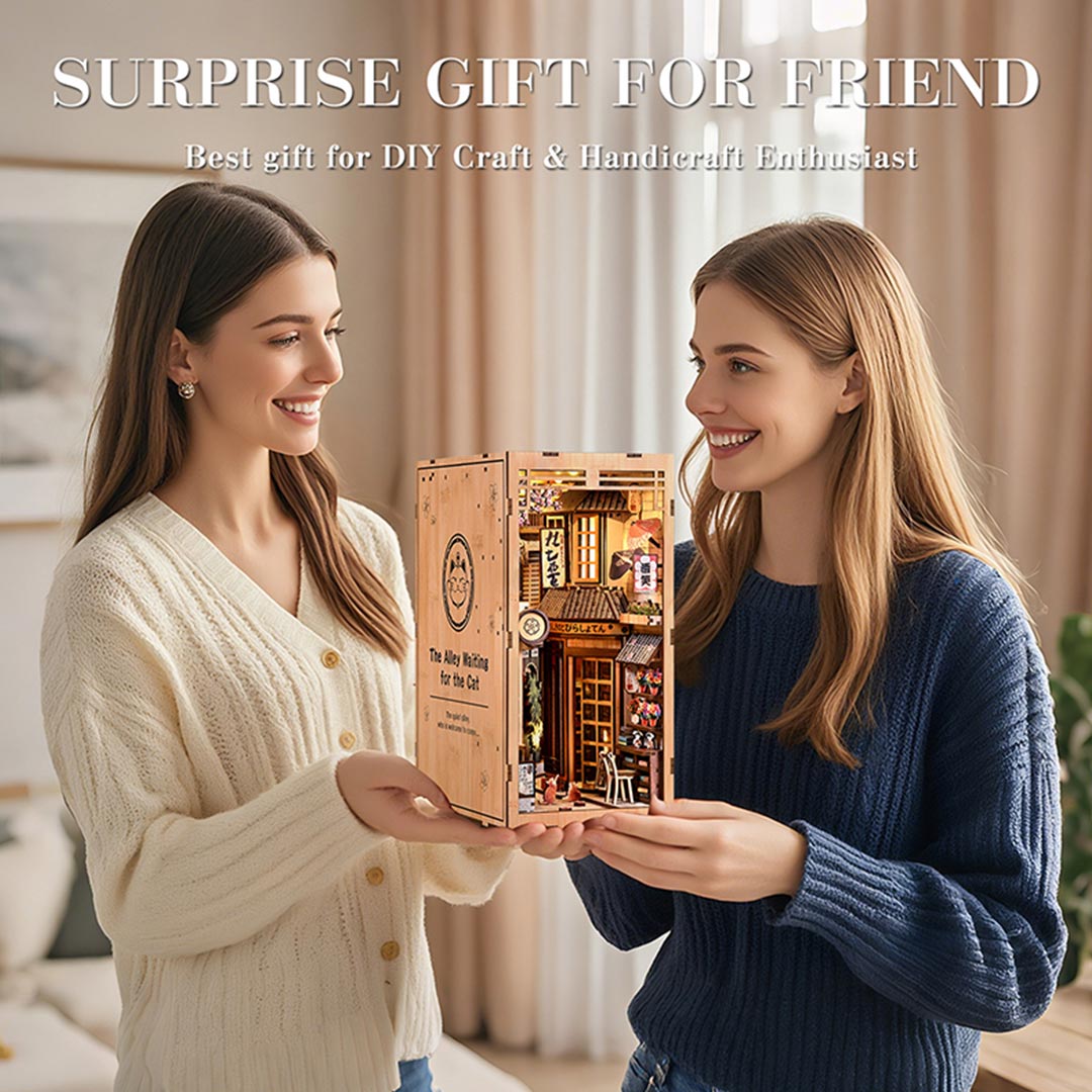 Cat’s Little Alley DIY Wooden Book Nook Shelf Insert